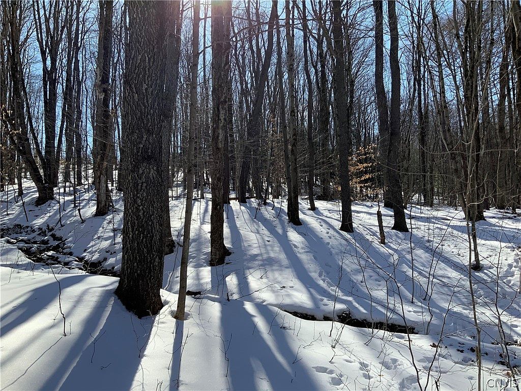 0 Cuyler Hill Rd 11, Truxton, NY 13158 MLS S1455915 Zillow