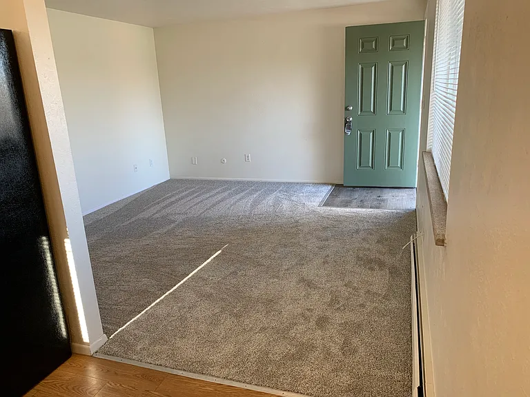 2437 Spruce street — Photo 54