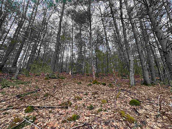 3rd image of 000 Grady Lane Lot 7