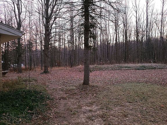 2nd image of 15237 Honor Hwy