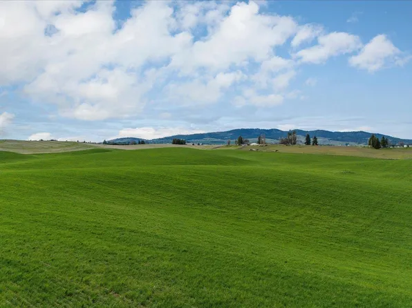 14906 S Madison Rd, Valleyford, WA 99036