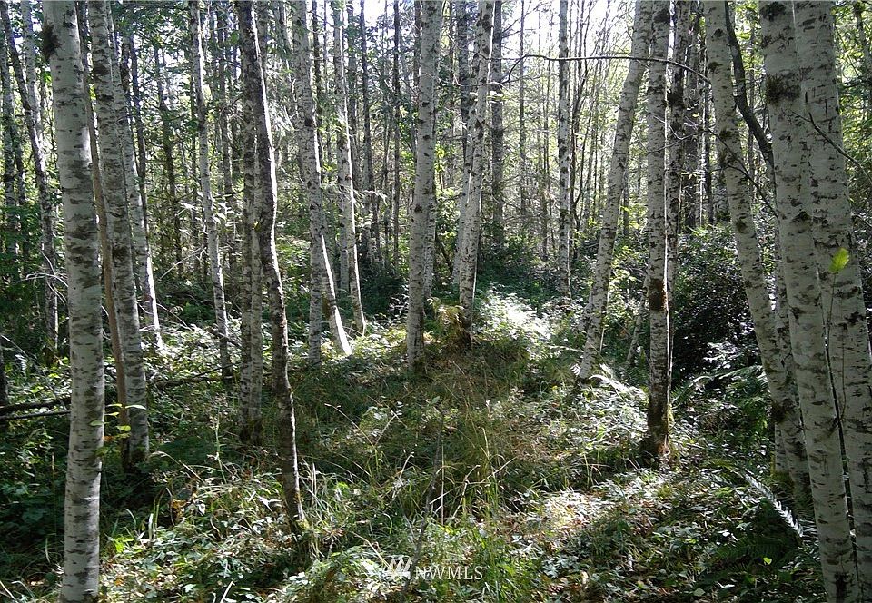 2nd image of 0 E lynch Road