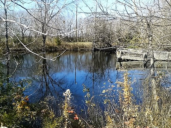 pond