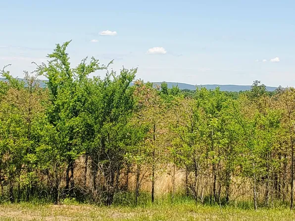 LOT E 1630th Rd #D, Talihina, OK 74571