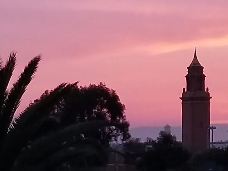 The Palms on Seminary — Photo 30