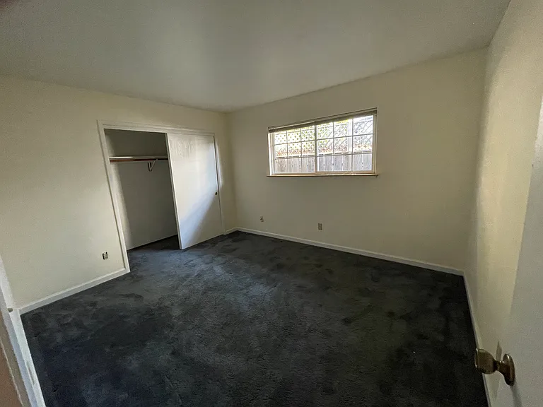 bedroom has deep carpet and wall-to-wall closet and largish window.