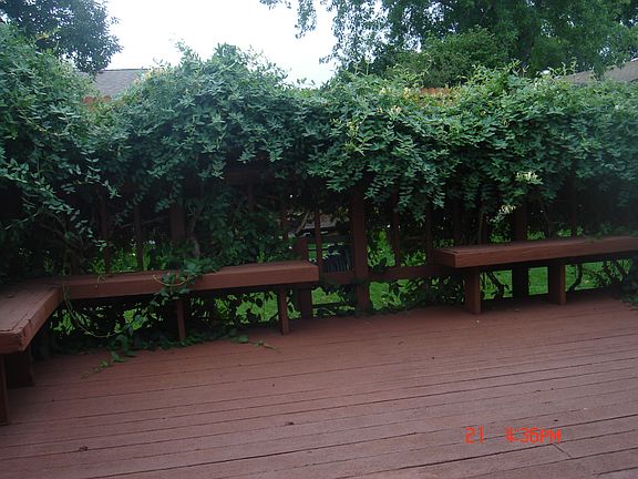 deck off main bedroom