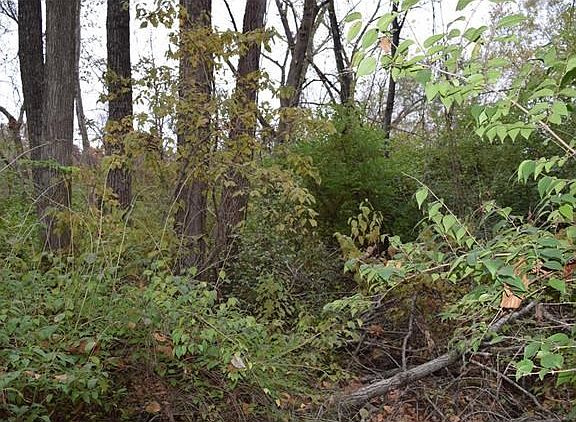 2nd image of 4833 Viento Dr