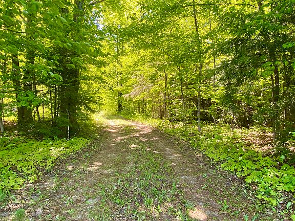 5th image of 4120 Blackberry Ln