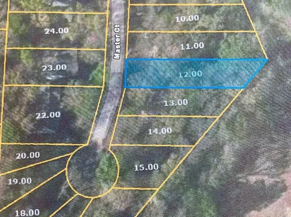 0 Masters Ct, Counce, TN 38326