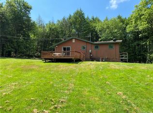 78 Dewitt Flats Rd, Youngsville, NY 12791