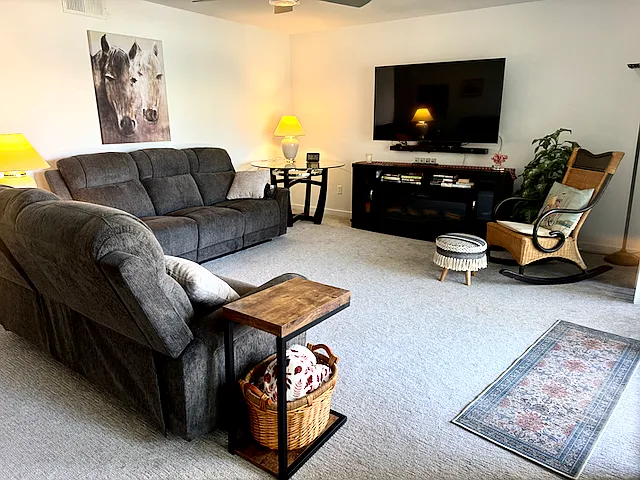 Living Room with 60" electric fireplace.