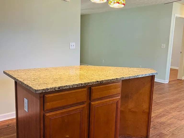 2690 Sharpsburg McCullum Rd — Photo 17