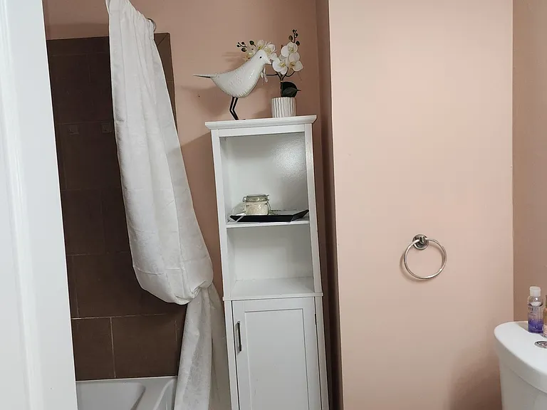 Owner's bath