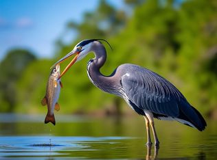 222 Riverside Cir, Wewahitchka, FL 32465