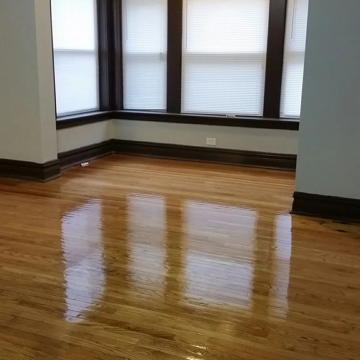 3536-46 W Jackson Blvd - 3538- Unit 1 — Photo 2