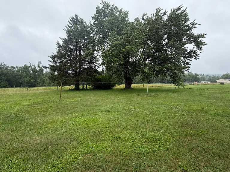 264 Elimsport Rd — Photo 11