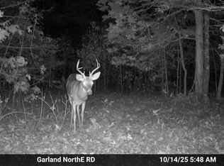 0 Old Dolph Rd, Pineville, AR 72566