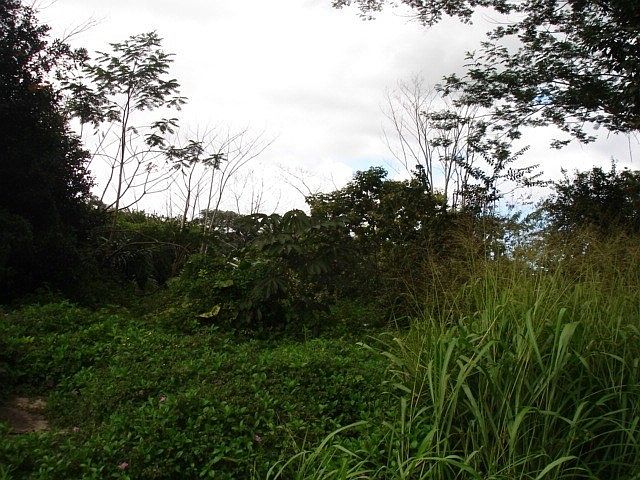 2nd image of Limu St Lot 22