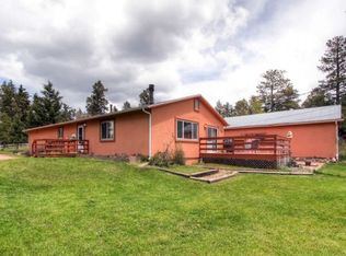 113 E Bowman Ave, Woodland Park, CO 80863