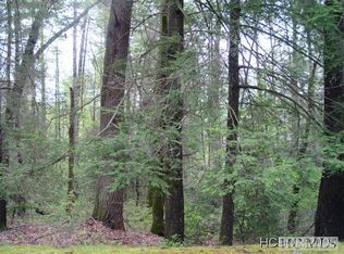 Indian Pipe Rd, Cashiers, NC 28717