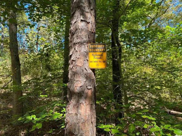 Panther Creek Rd, Oark, AR 72852