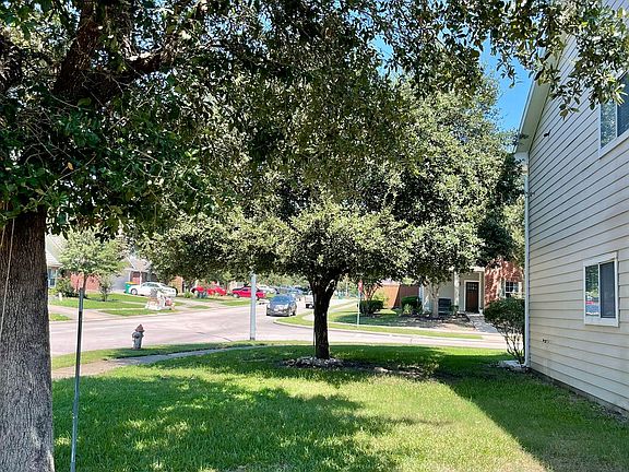 Side lawn by the garage and back door