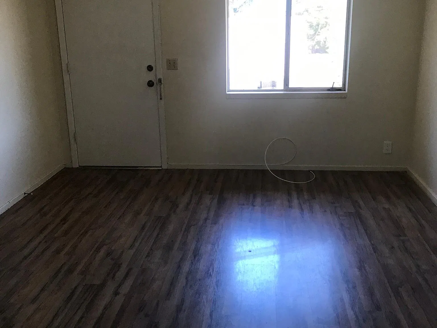 965 Roble Ave — Photo 4