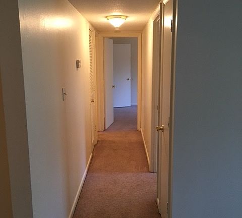 5th image of 1004 N Oak St APT 2