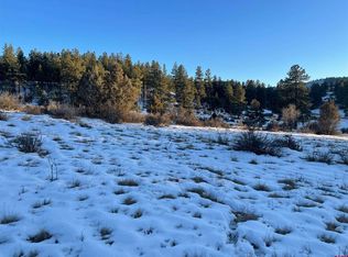 175 Stollsteimer Ln, Pagosa Springs, CO 81147
