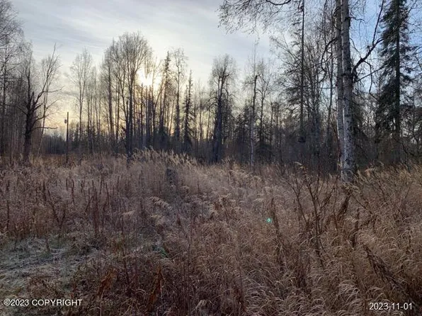 23437 W Willow Fishhook Rd, Willow, AK 99688