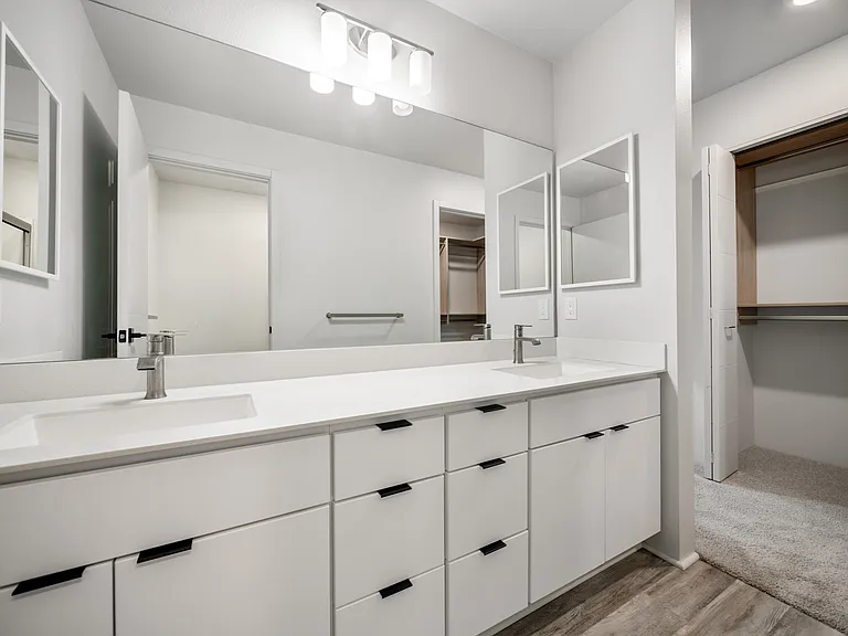 Master Bath - double vanity sink
