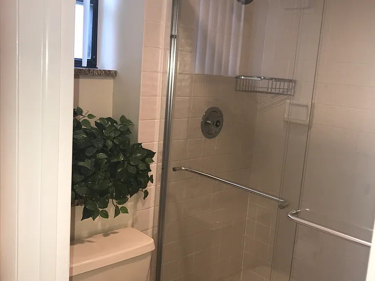 Master shower