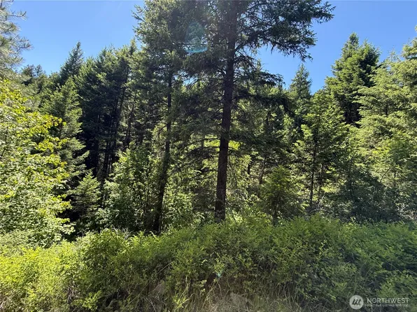 0 TBD Toroda Creek Road, Wauconda, WA 98859