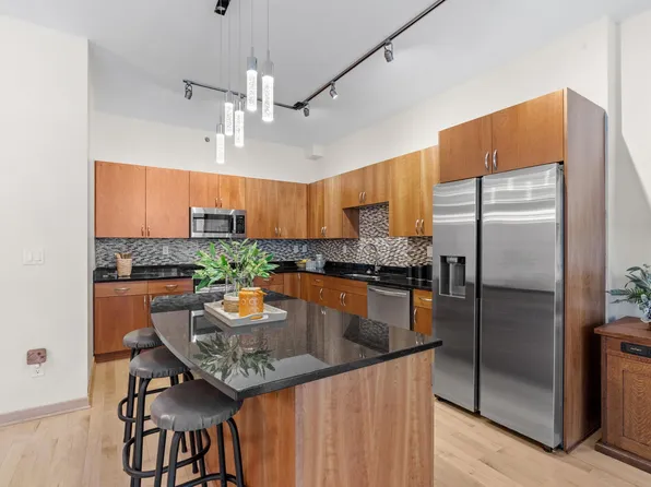 215 10th Ave S Unit 207, Minneapolis, MN 55415