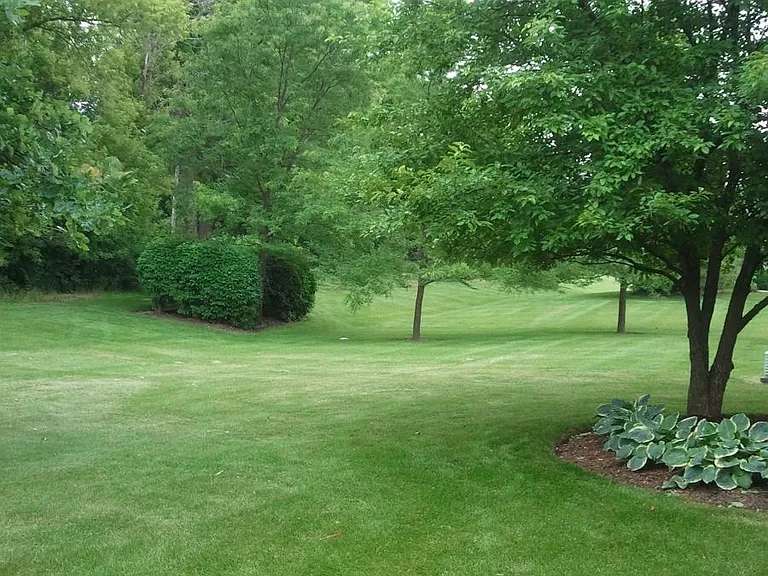 Blue Ridge Dr — Photo 3