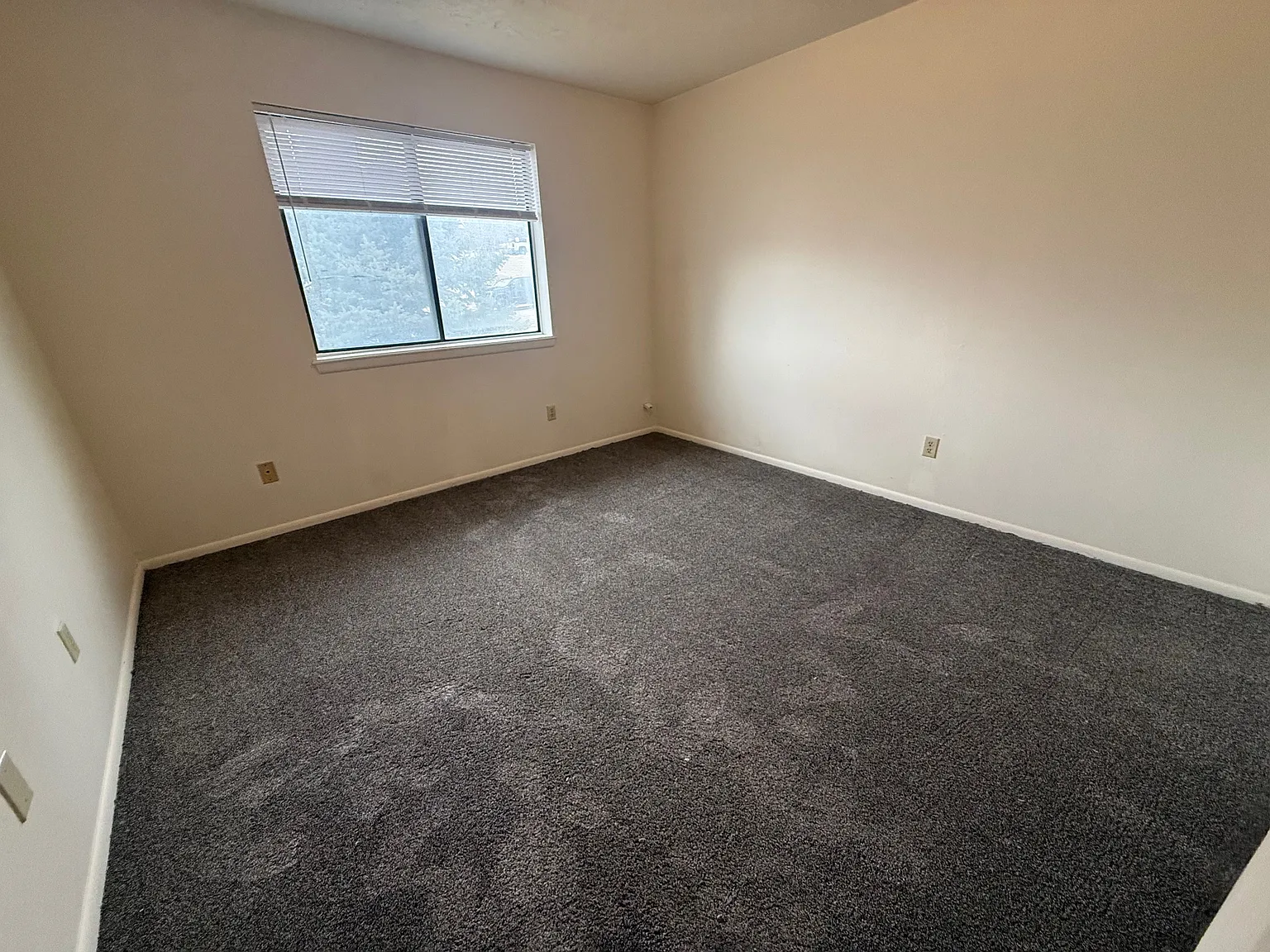 2 bed, 800 sqft, $900 — Photo 2