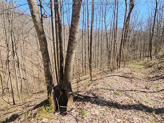 4th image of X Bufflick Rd