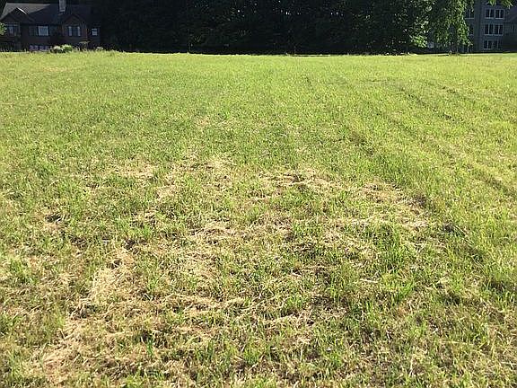 Large, high and dry lot