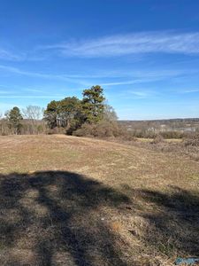 1 Blessing Rd, Albertville, AL, 35951