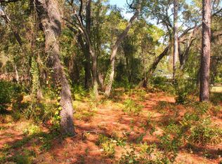 7489 W Pedersen Loop #3, Homosassa, FL 34446