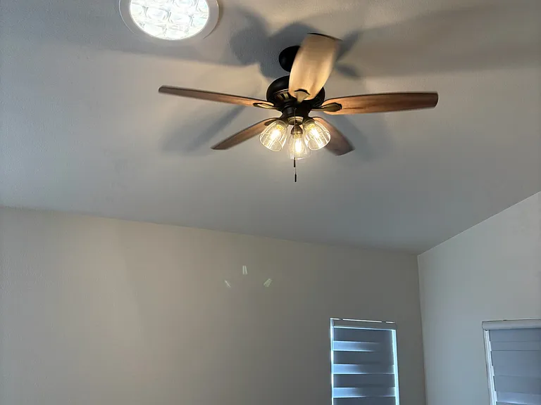 all new paint on ceilings and walls