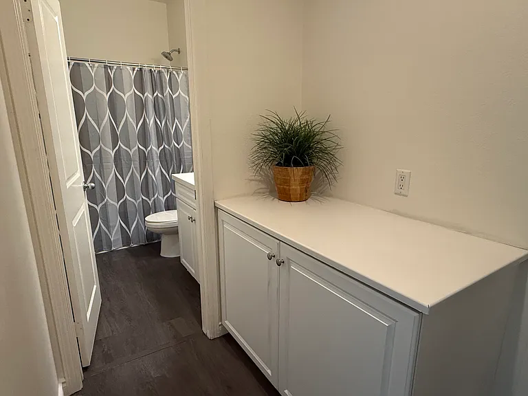 Downstair bathroom