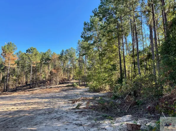 County Road 2345, Marietta, TX 75566