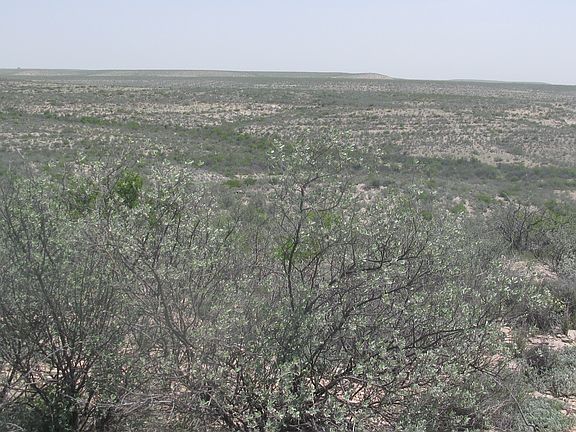 5th image of 16238 Seminole Canyon Road