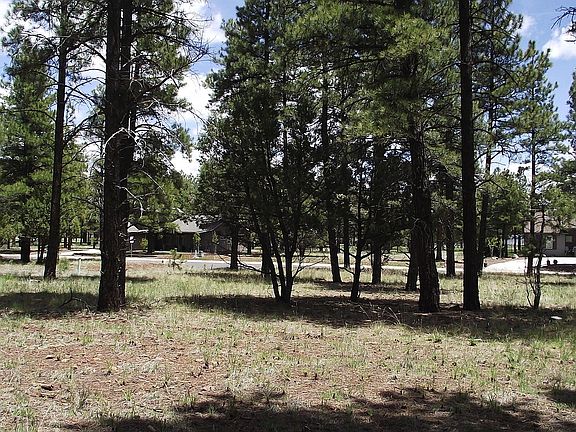 4th image of 522 S Highland Meadows Dr