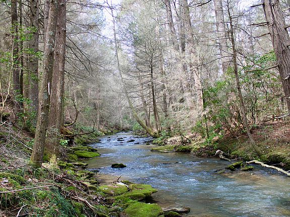 2nd image of 104 Hemlock Trl