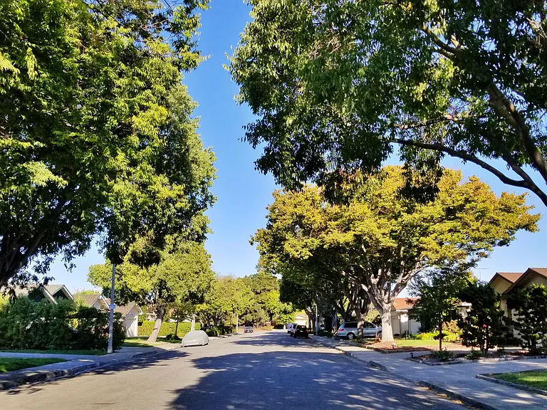 Ample safe and shaded street parking. Driveway parking negotiable.