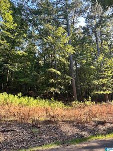 500 Black Acres Rd #27, Cropwell, AL, 35054