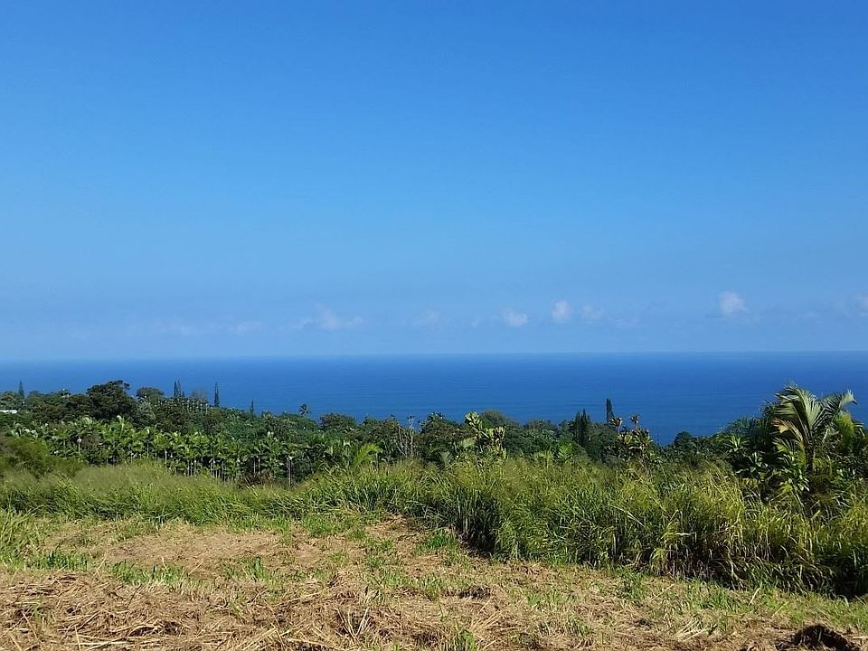 1st image of LOT D Lot D